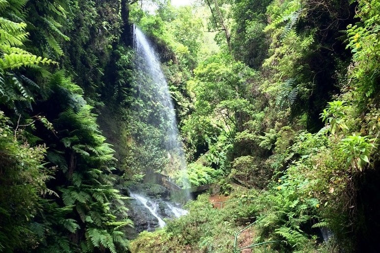 Busausflug - La Palma Natural