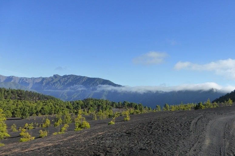 Paisaje volcánico en la isla de La Palma