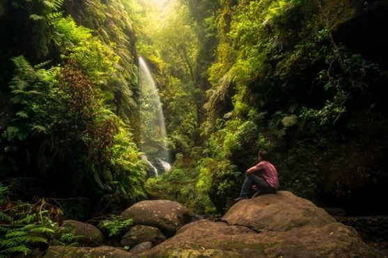 Wasserfall im Wald von Los Tilos auf La Palma