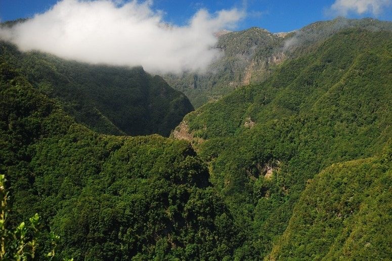 Berge, grün, La Palma