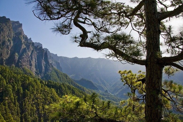 View into the Caldera de Taburiente