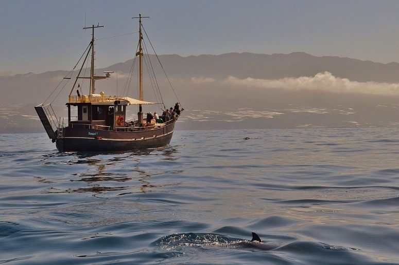 Excursiones en barco La Palma, vista a la isla