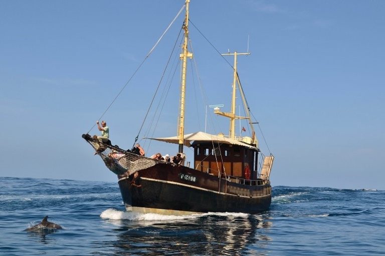 Boat Trip La Palma, Whale Watching