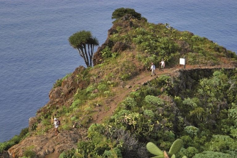 Der grüne Norden, La Palma