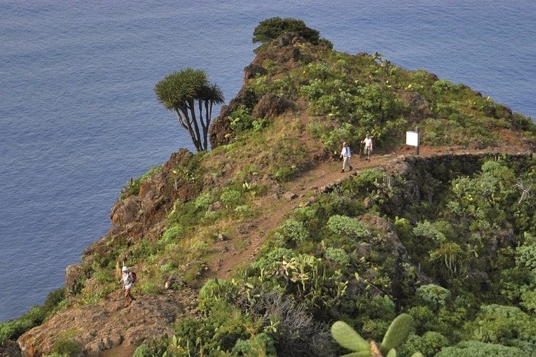 The green North, La Palma