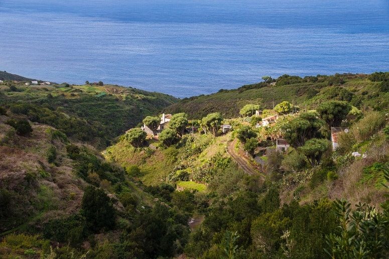 The green North of La Palma