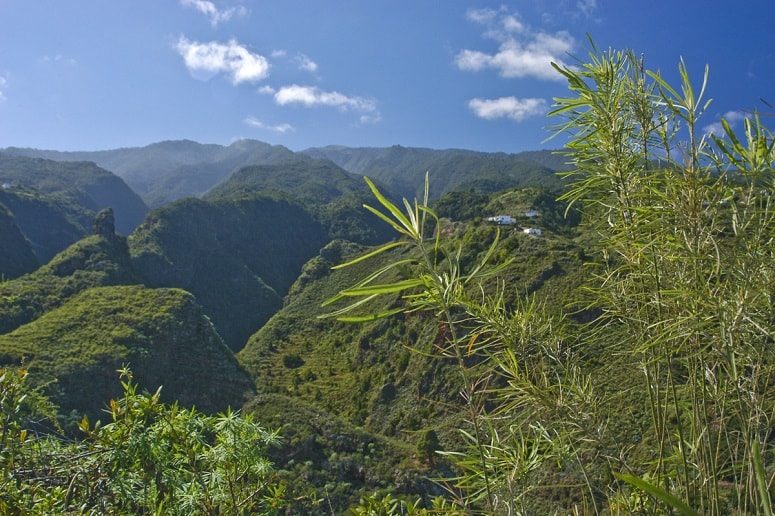 Paisaje, Norte, La Palma