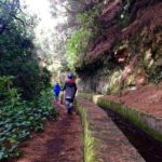 Marcos y Cordero, La Palma