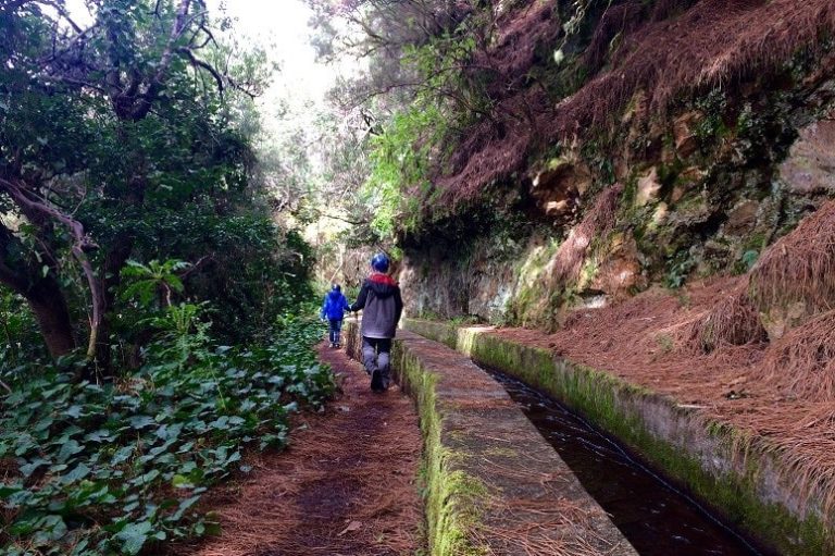 Marcos y Cordero, La Palma