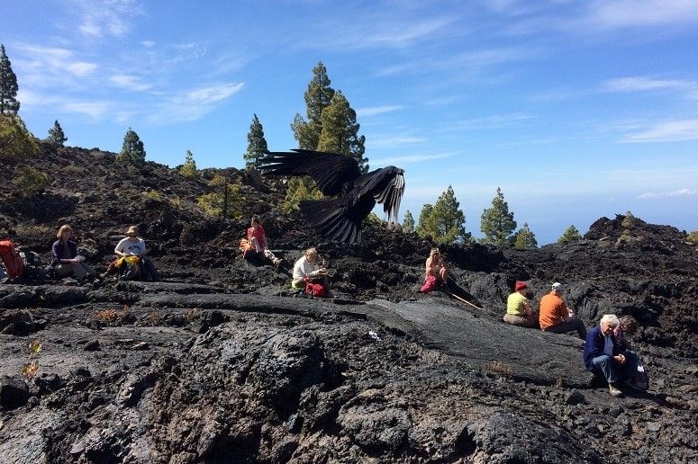 Roca volcánica a La Palma