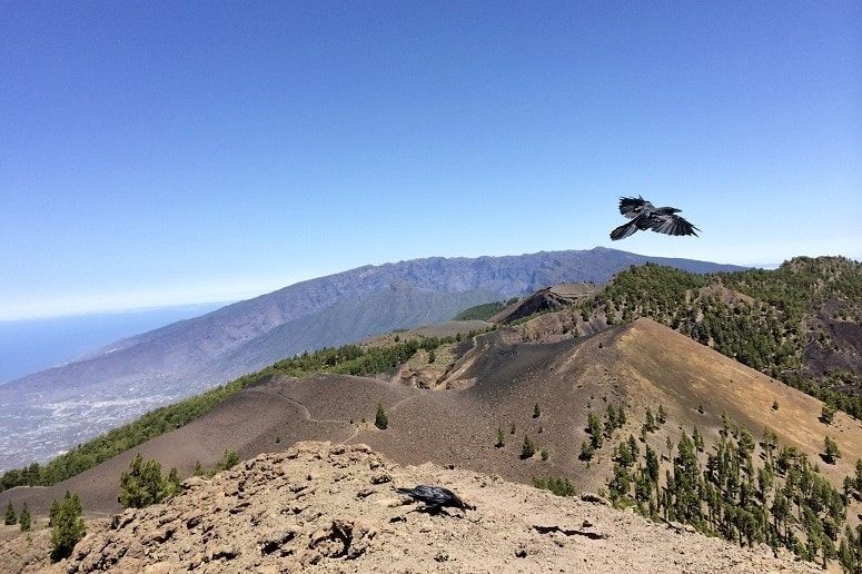 Ruta de los Volcanes, La Palma