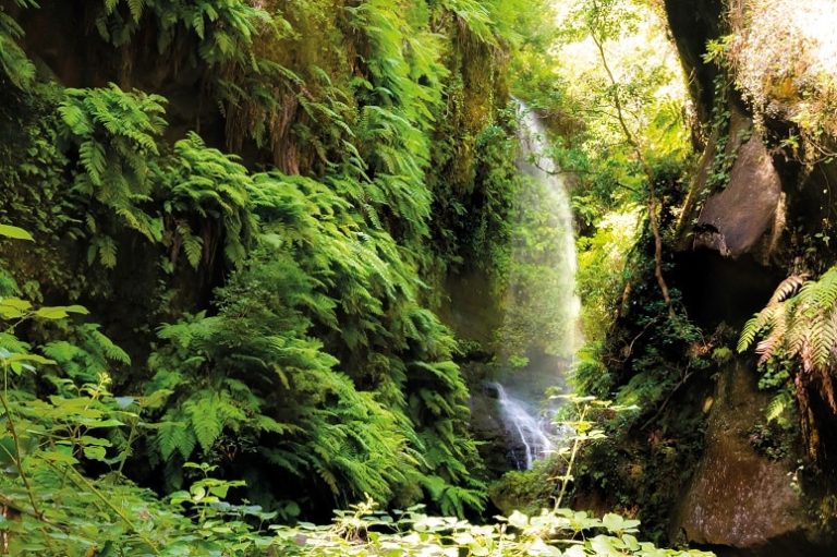 Cascada de Los Tilos