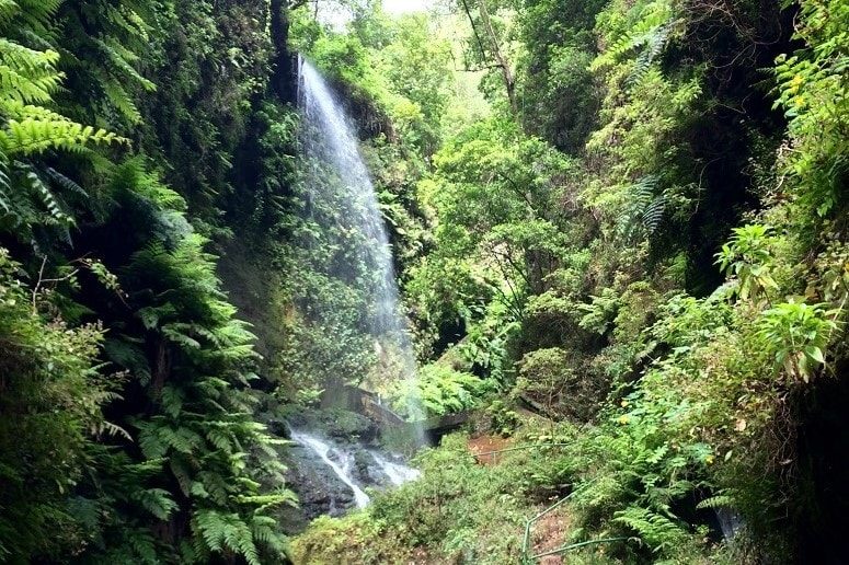 Wasserfall in Los Tilos, La Palma