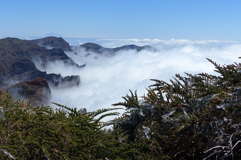 Über den Wolken, Roque de Los Muchachos