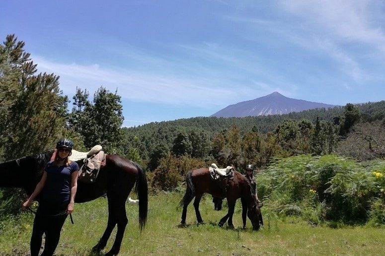 Caballos, Tenerife, Paseo a Caballo