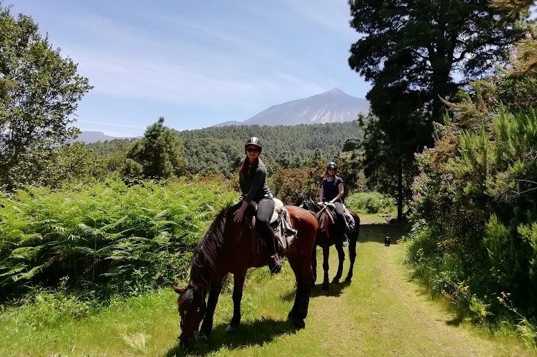 Paseo a Caballo, Tenerife