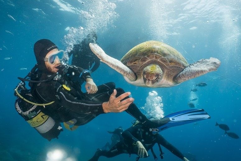 Diver and Turtle, Tenerife