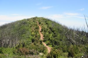 Zwei Gipfel Wanderung, La Gomera