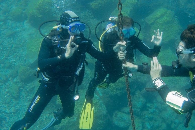 Buceo, Tenerife, Inmersiones