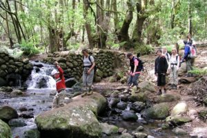 Río, La Gomera, caminata, grupo