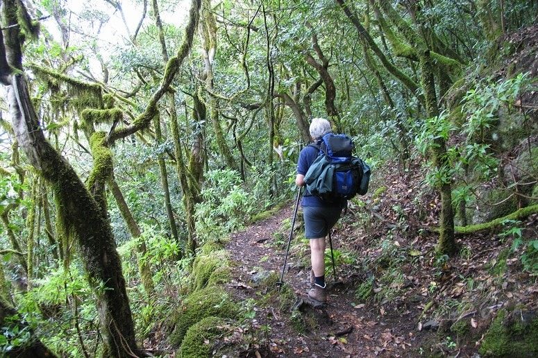 Geführte Wanderung La Gomera