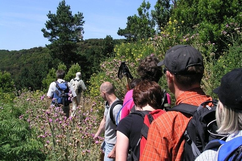 Gruppenwanderung, La Gomera