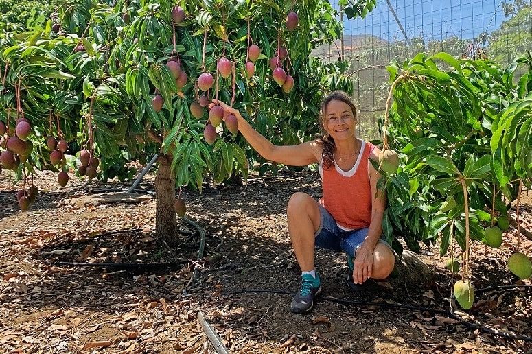 Führung, Mango Finca, Jeanette